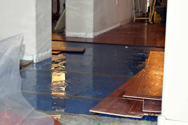 Professional Water Damage technician working in Woodstock, IL